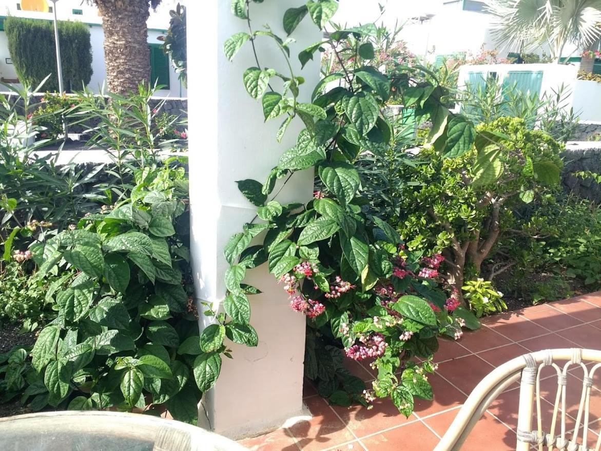 Casa Maracuya Villa Costa Teguise Exterior foto